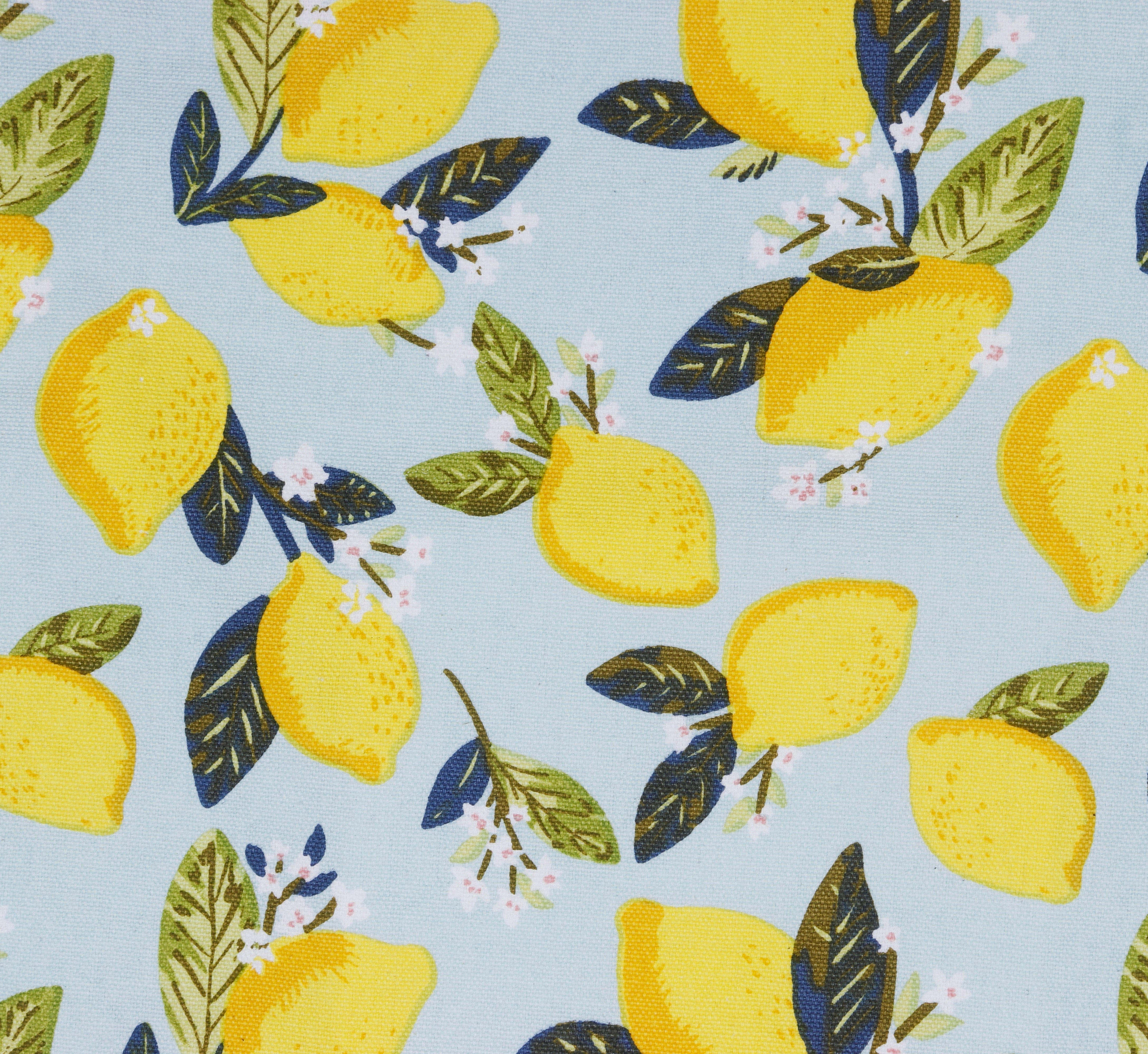 Cotton Canvas Citrus Twist Digital Printed Shopping Tote Bags